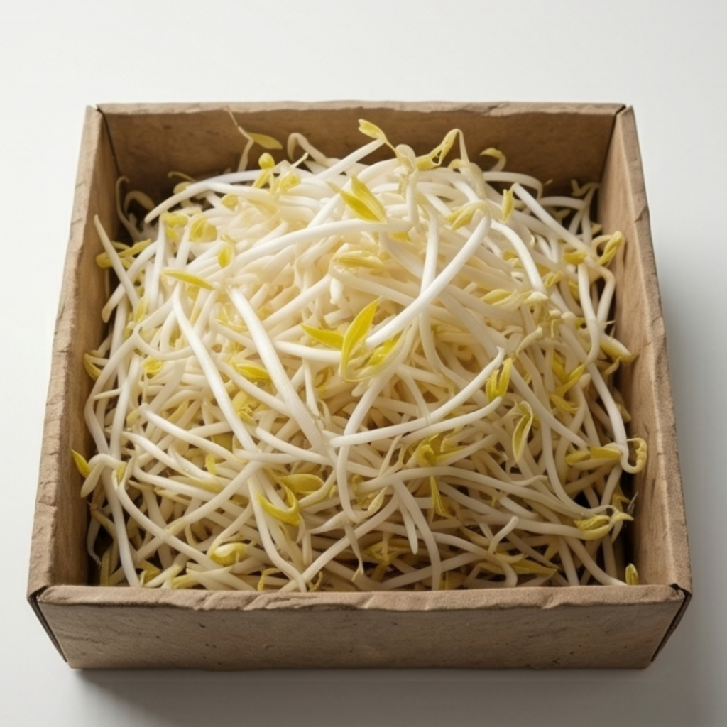 숙주